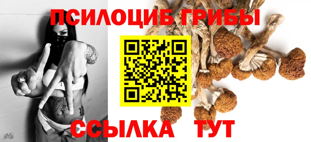 Псилоцибиновые грибы ЛСД  Вход с VPN  Галлюциногенные грибы мицелий  Туапсе 