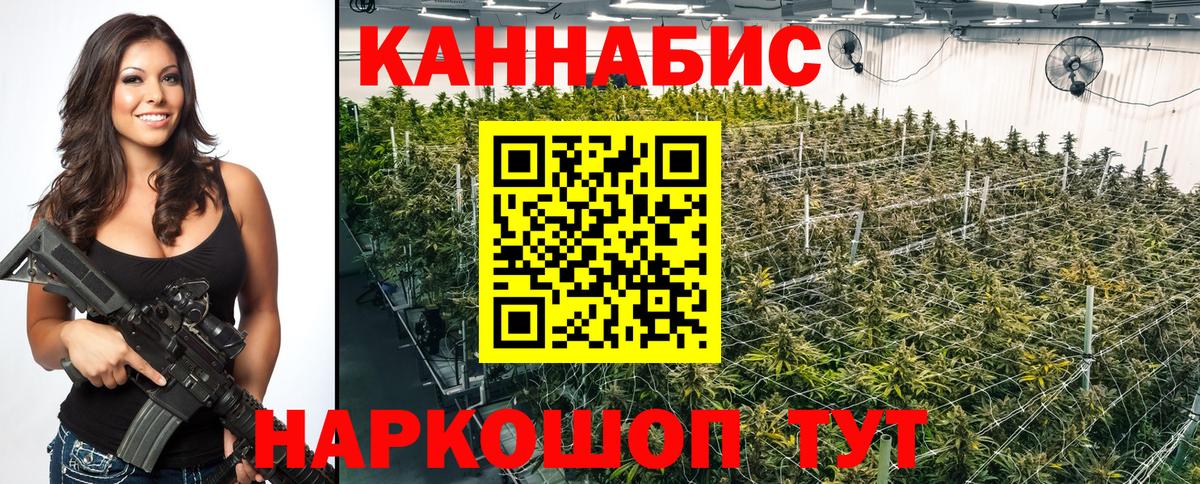 Бошки марихуана THC 21% Туапсе