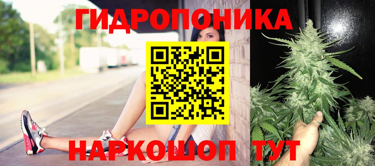 Канабис сатива  Вход с VPN  Туапсе  Конопля OG Kush 